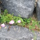 지리산물길따라펜션 이미지