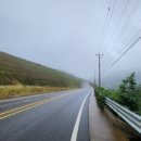 입장 포도길 이미지