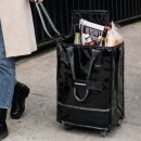 다나은공동생활 | 짐샌더슨 롤링백 주말 대형마트 장보다 손목 나간 내가 찾은 육아꿀템 후기