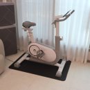 바이크PC | 멜킨무릎보호대를 착용후 사용해본 스핀바이크후기