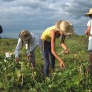 정한농장 이미지