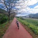 남하강자전거길 이미지