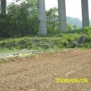 매송농장 이미지