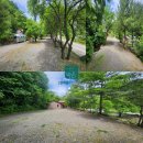 서면사무소(양양) 이미지