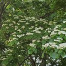 고남2리 이미지