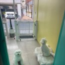 황제살롱 이미지