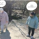 [3월1주] 여행_구례(산수유축제,진미식당,산수유문화관,카페 구만) 이미지