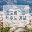 샛별여행사