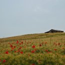 천북목장 이미지