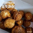 호두파야 이미지