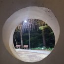 호텔얌 광주구시청점 | [전주 광주 아트 투어 Day2] 이이남갤러리카페 &amp; 사직공원 빛의 숲 &amp; 호텔얌