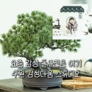 수원-1093 | 수원 셀프돌촬영 여기서 끝, 감성다움 스튜디오