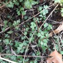 비지1리 이미지