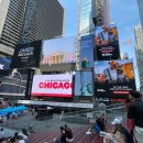 엠앤엠(M&M) 이미지