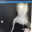 남현파출소 이미지