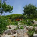 풍경캠핑장 이미지