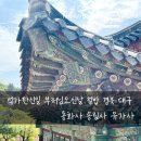 유가사길 | 석가탄신일 부처님오신날 절밥 경북 대구 팔공산 삼사순례 / 동화사 송림사 유가사