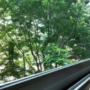 라온약품 이미지