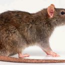 대호모텔 이미지