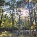 영등2농장 이미지