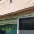 제니스타운 이미지