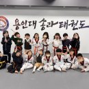 용인대 명품태권도장 이미지