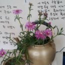 꺽쇠한우 이미지