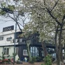 연가월남쌈샤브 이미지