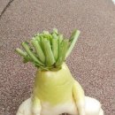 당근스테이 이미지