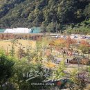 좌구산 휴양랜드 썰매장 이미지