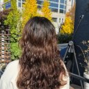 sof | [구월동 롱기장 히피펌 후기 / 살롱드SOF 써니원장 시술 후기]