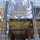 참소목장 이미지