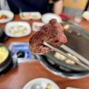 돈마당 - 증평군 | 광주 농성동 소고기 로컬맛집 추천해요 - 돈마당 식육식당