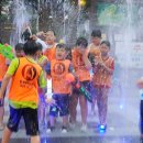 연세 휘트니스 태권도 이미지