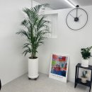 활피부샵 이미지