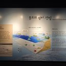 옴천초등학교 | 강진만 생태공원을 소개합니다