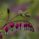 대아매점 이미지