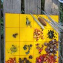 서초2삼성어린이집 이미지