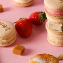 (주)백산관광 이미지