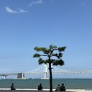호텔 센트럴베이 | [부산]생각보다 너무 좋았던 ‘광안리 센트럴베이 호텔’ 강추후기 / 오션뷰 디럭스트윈
