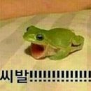 중국어 입문 이미지