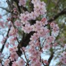 부산배화학교 이미지