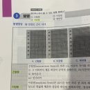 장티푸스 이장열 계류열(지속열) 이미지