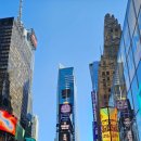 정관센트럴파크 버스승강장 | [미국] 뉴욕 방문기_뉴욕자연사박물관, 탑뷰나이트 투어