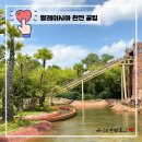 말레이시아 환전 꿀팁 총정리! 조호바루 한달살기 비용 + 트래블월렛 사용후기