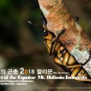 누에타운곤충탐사과학관 일간전북