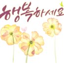 루어스플라워 네이버블로그