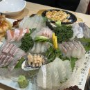 골목횟집 | [방이 맛집] 독도회센터｜주말 웨이팅 없는 방이먹자골목 횟집 내돈내산 후기