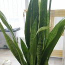 세경농장 이미지