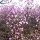 서구 민방위교육장(3) 이미지